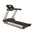 Беговая дорожка AeroFIT Pro 8700TM 10"TV